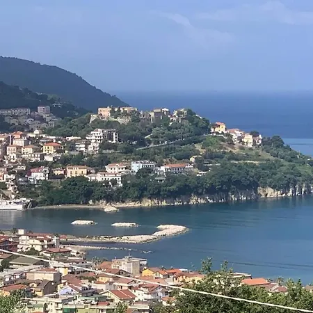 Stella Del Cilento Raggio Di Sole *